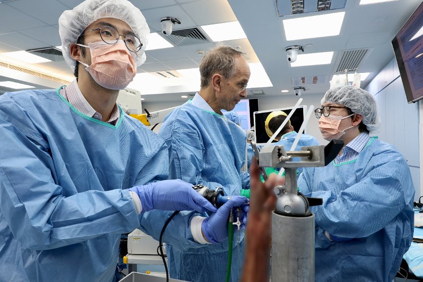 HK Wrist Course 2024 - Workshops  - 206 of 241